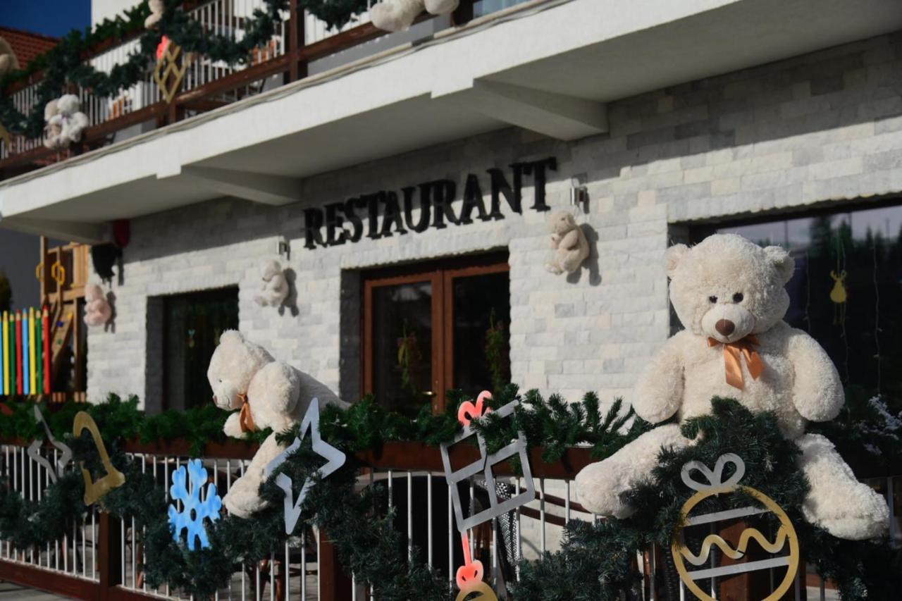 Pensiune Rara Păltiniş Екстериор снимка